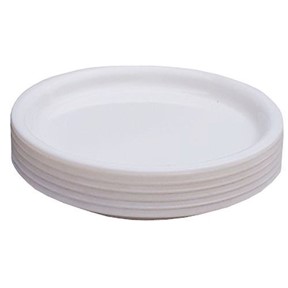 A+ PIC PLASTIC PLATES (10 pack)