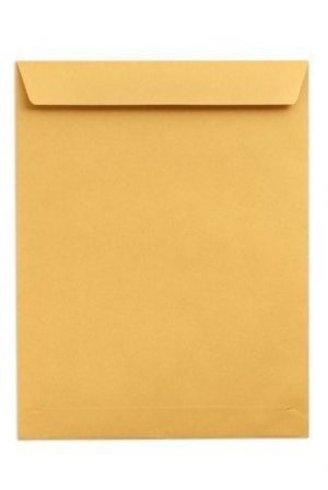 BROWN ENVELOPE (11" x 8.5" - Letter)