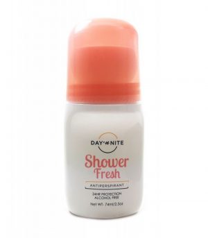 DAY'N NITE ANTIPERSPIRANT DEDODORANT (Shower Fresh) (2.5 oz)